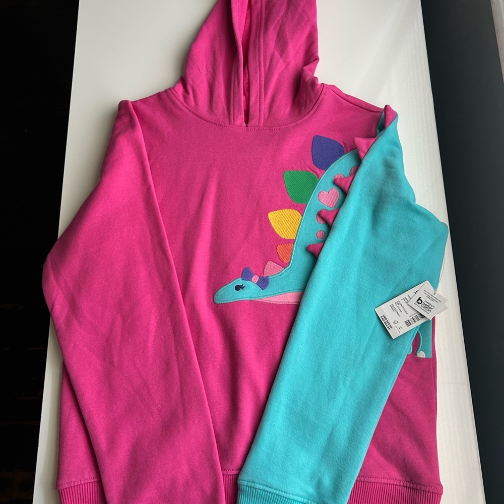 Gymboree Fuchsia and Aqua Dinosaur Hoodie